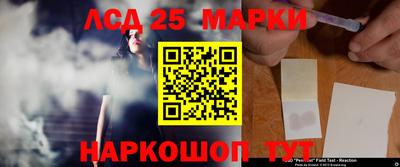 ПСИЛОЦИБИНОВЫЕ ГРИБЫ Краснодар
