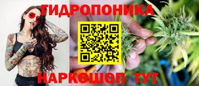 гидра Краснокаменск
